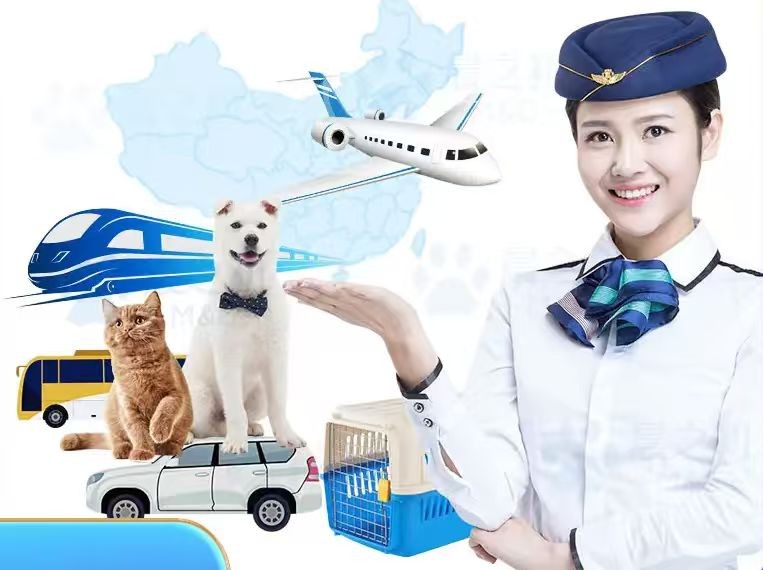 机场货运站繁忙景象