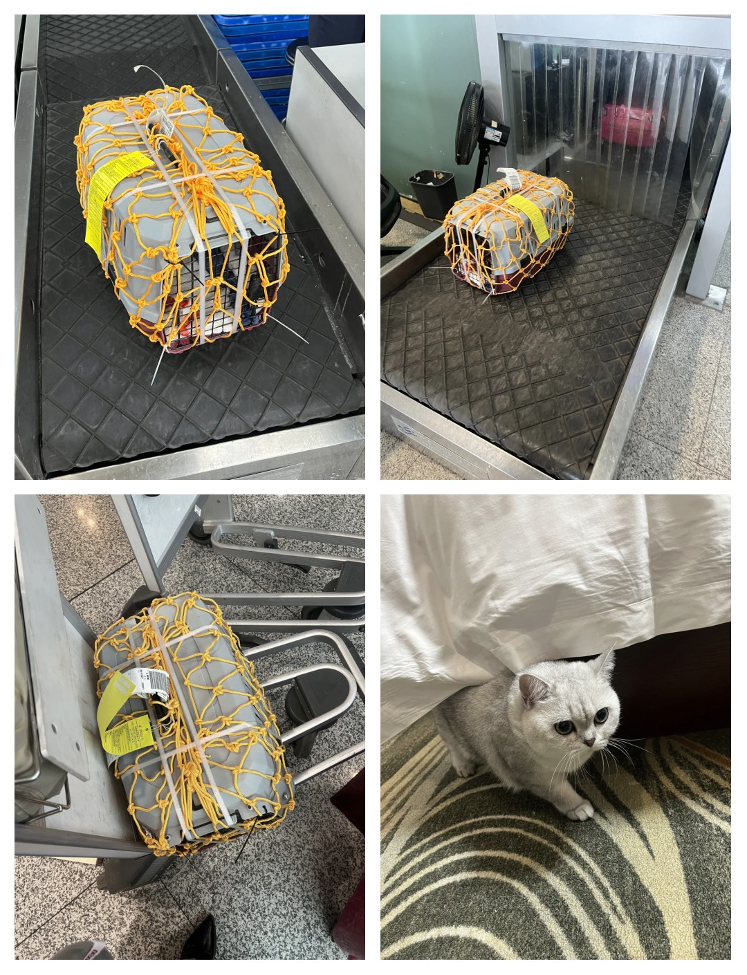 上海虹桥机场货站待发的航空急件